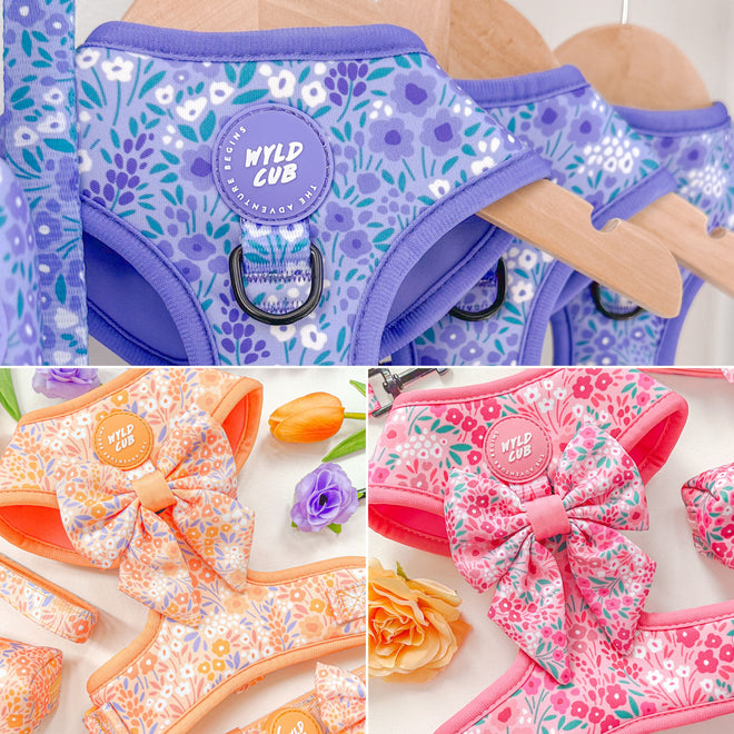 Shop All New Collections