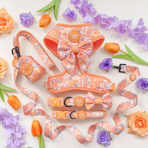 Floral Dog Harness Collar Lead set