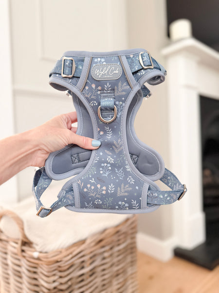 Step & Switch® Dog Harness: Chiswick Dovetail