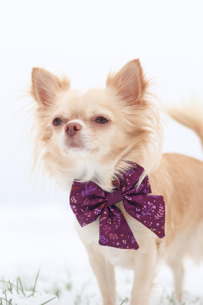 Dog Sailor Bow Tie: Chiswick Fig