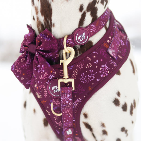 Adjustable Dog Collar: Chiswick Fig