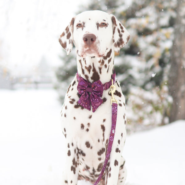 Dog Sailor Bow Tie: Chiswick Fig