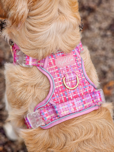 Step & Switch® Dog Harness: Belgravia Bonbon