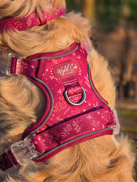 Step & Switch® Dog Harness: Chiswick Dragonfruit