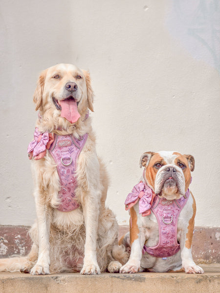 Step & Switch® Dog Harness: Chiswick Rosewood