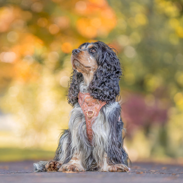 Step & Switch® Dog Harness: Chiswick Nutmeg