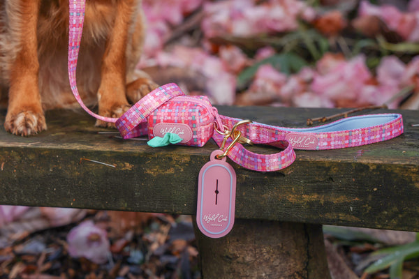 Dog Poop Bag Holder: Belgravia Bonbon