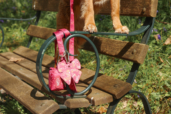 Dog Poop Bag Caddy Bow: Chiswick Dragonfruit