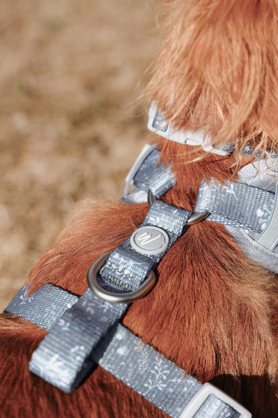 Adjustable Dog Harness: Chiswick Dovetail