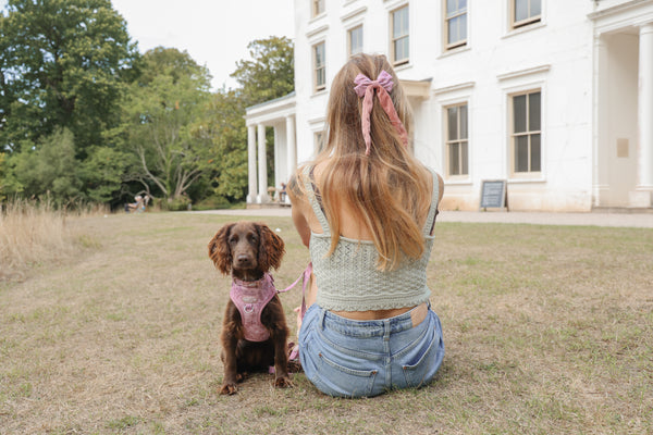 Bow Hair Clip: Chiswick Rosewood