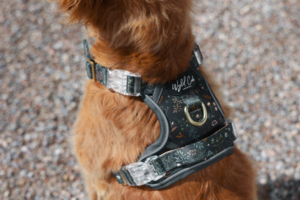 Step & Switch® Dog Harness: Chiswick Ravenwood