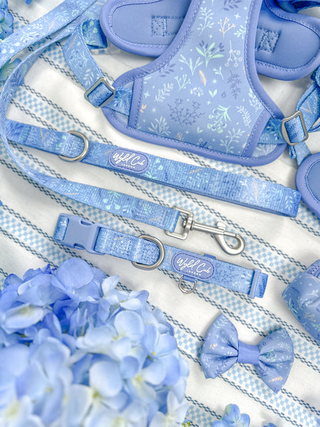 Adjustable Dog Collar: Chiswick Aeris