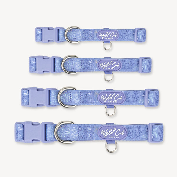 Adjustable Dog Collar: Chiswick Aeris