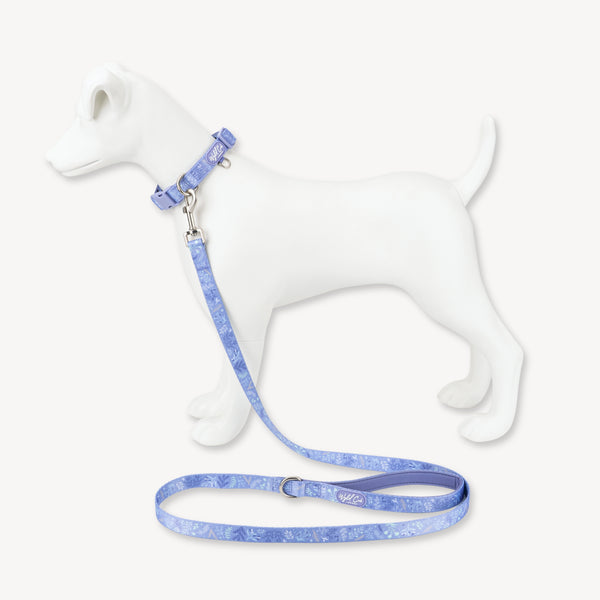 Adjustable Dog Collar: Chiswick Aeris