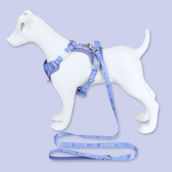 Step & Switch® Dog Harness: Chiswick Aeris