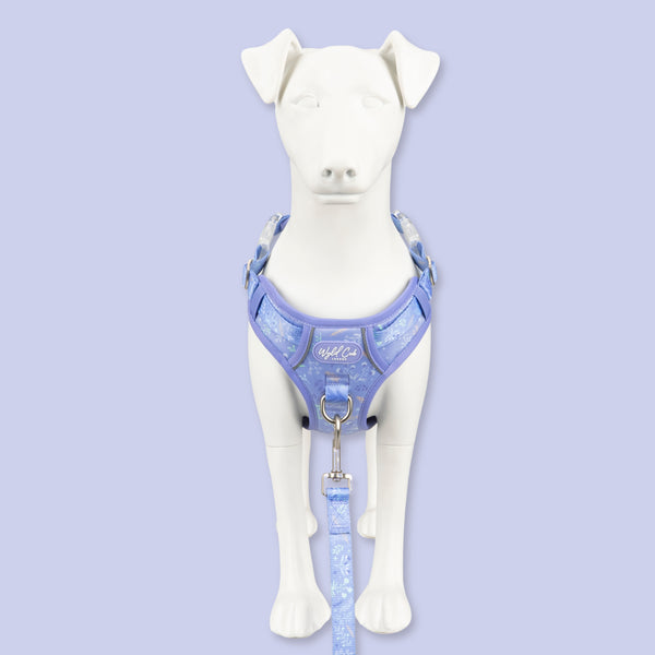 Step & Switch® Dog Harness: Chiswick Aeris