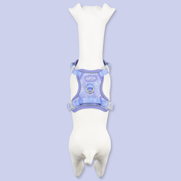Step & Switch® Dog Harness: Chiswick Aeris