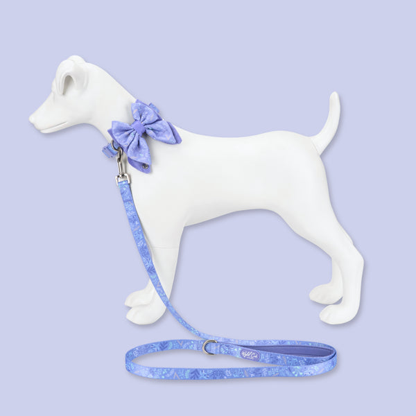 Adjustable Dog Collar: Chiswick Aeris