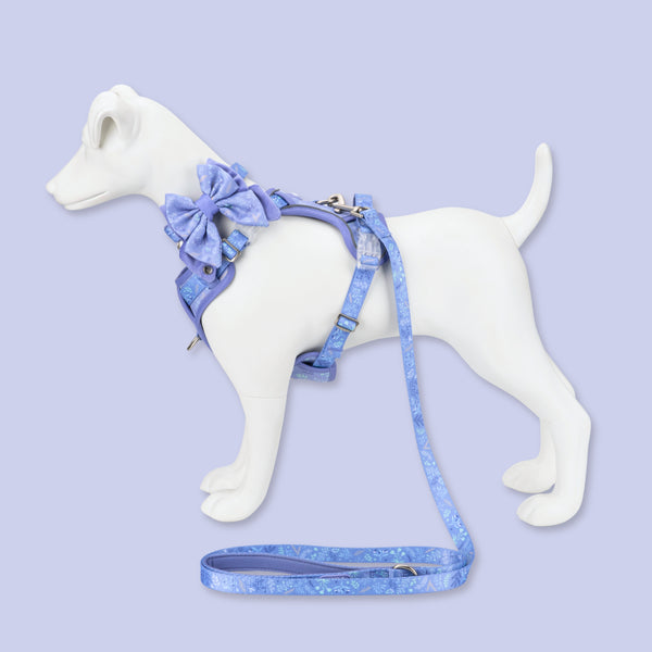 Step & Switch® Dog Harness: Chiswick Aeris