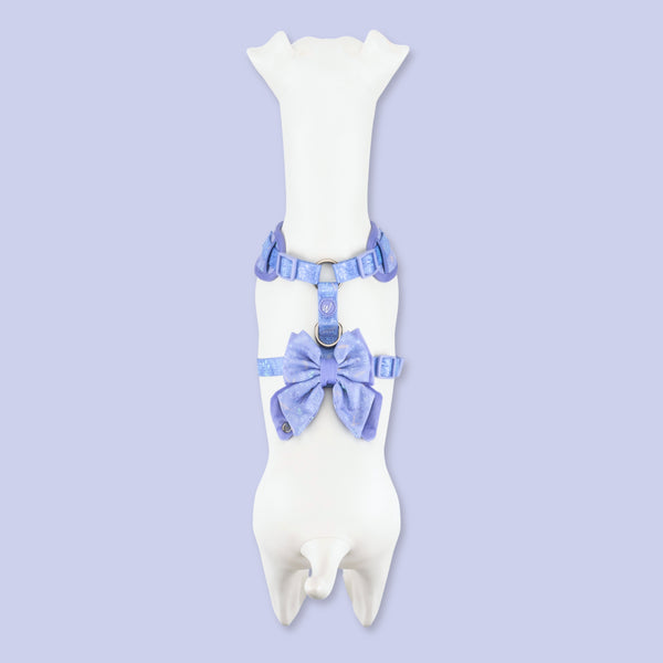 Dog Butterfly Bow: Chiswick Aeris