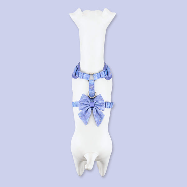 Dog Sailor Bow: Chiswick Aeris