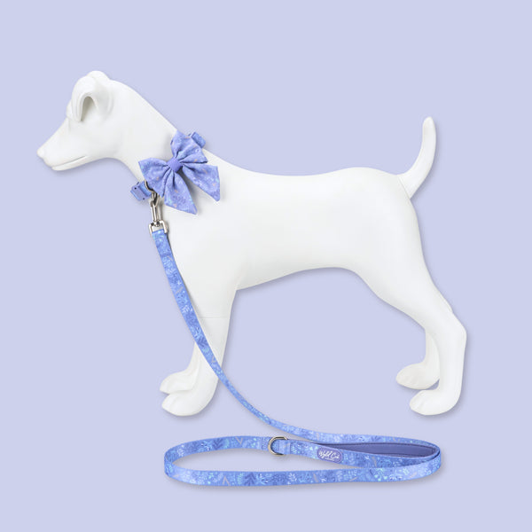 Adjustable Dog Collar: Chiswick Aeris
