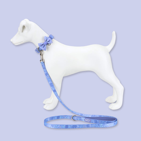 Adjustable Dog Collar: Chiswick Aeris