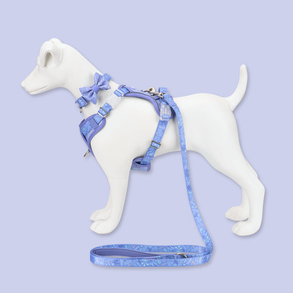Step & Switch® Dog Harness: Chiswick Aeris