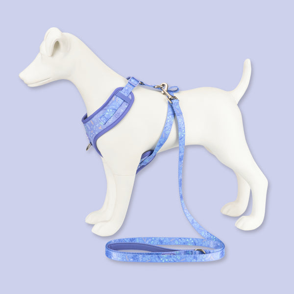 Dog Lead: Chiswick Aeris