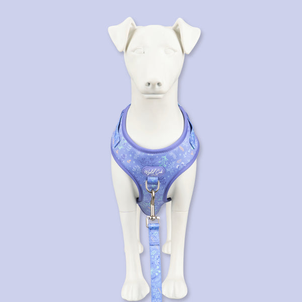 Dog Lead: Chiswick Aeris