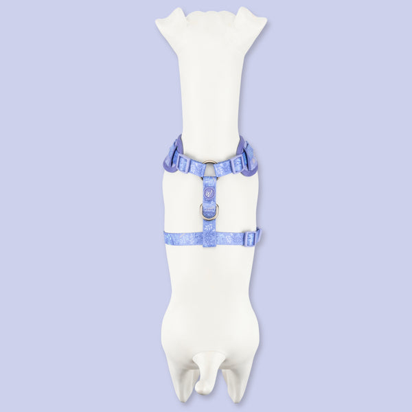 Adjustable Dog Harness: Chiswick Aeris