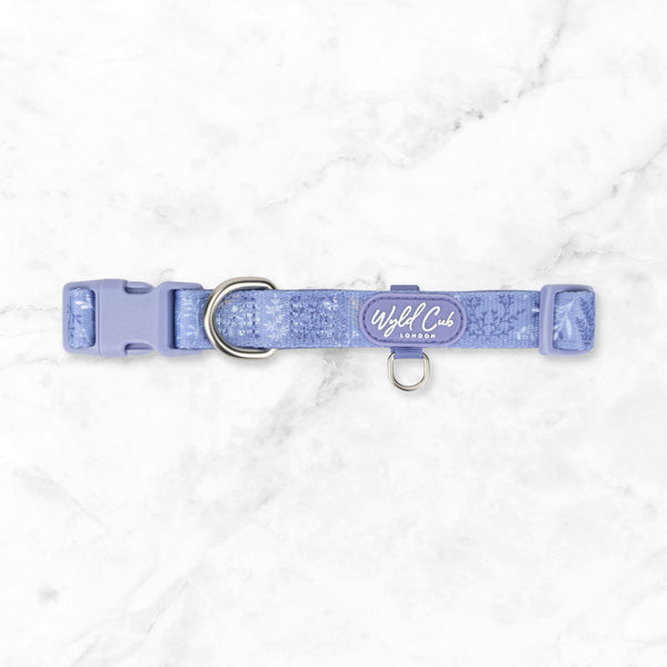 Adjustable Dog Collar: Chiswick Aeris