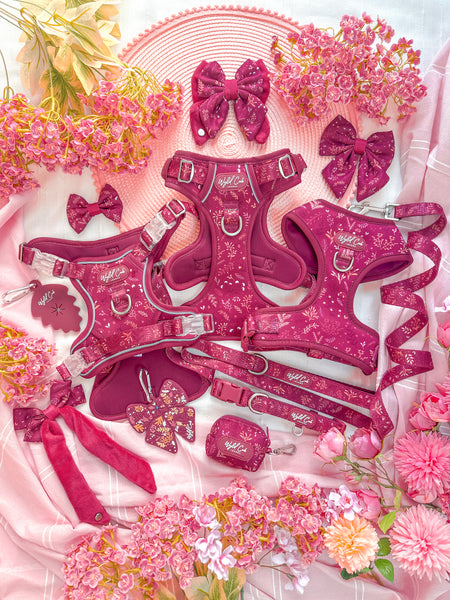 Adjustable Dog Collar: Chiswick Dragonfruit
