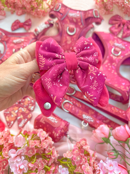 Dog Butterfly Bow: Chiswick Dragonfruit