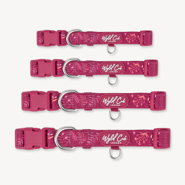 Adjustable Dog Collar: Chiswick Dragonfruit
