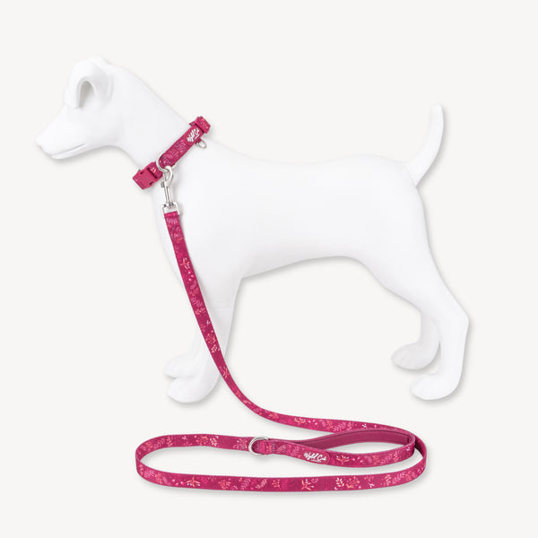 Adjustable Dog Collar: Chiswick Dragonfruit