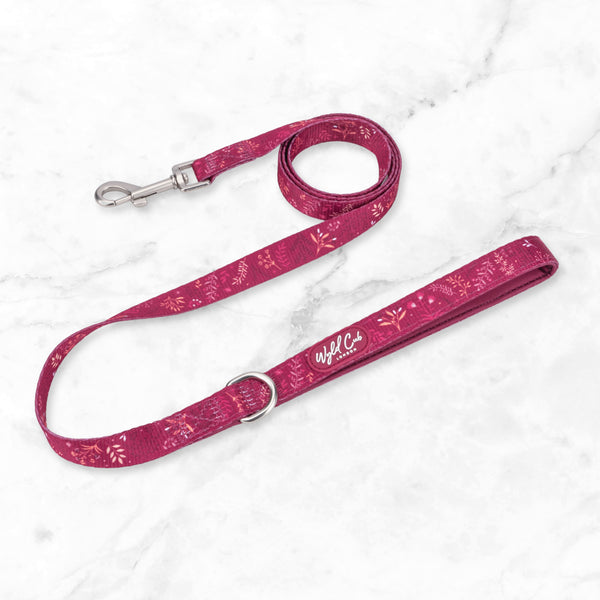 Dog Lead: Chiswick Dragonfruit