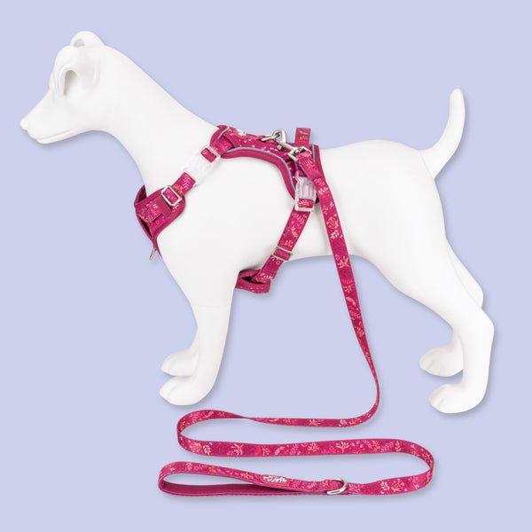 Step & Switch® Dog Harness: Chiswick Dragonfruit