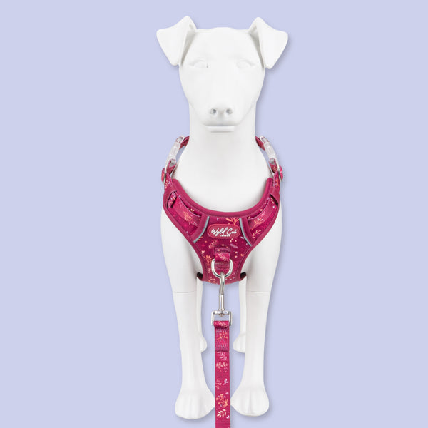 Step & Switch® Dog Harness: Chiswick Dragonfruit