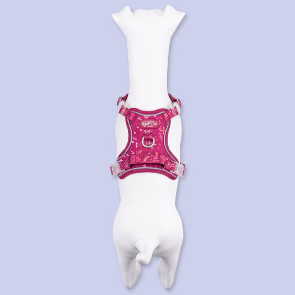 Step & Switch® Dog Harness: Chiswick Dragonfruit