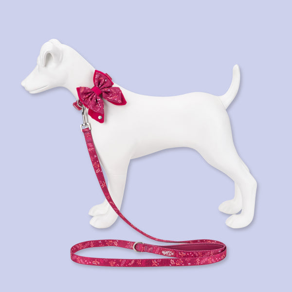 Adjustable Dog Collar: Chiswick Dragonfruit