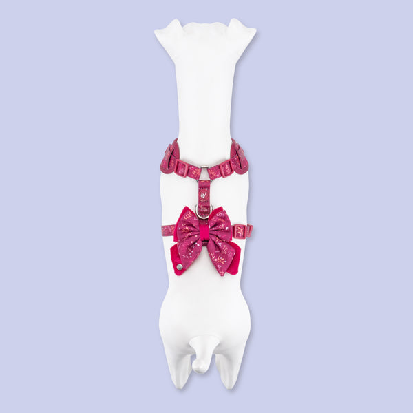 Dog Butterfly Bow: Chiswick Dragonfruit