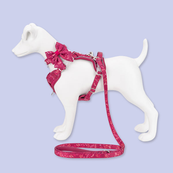 Dog Sailor Bow: Chiswick Dragonfruit