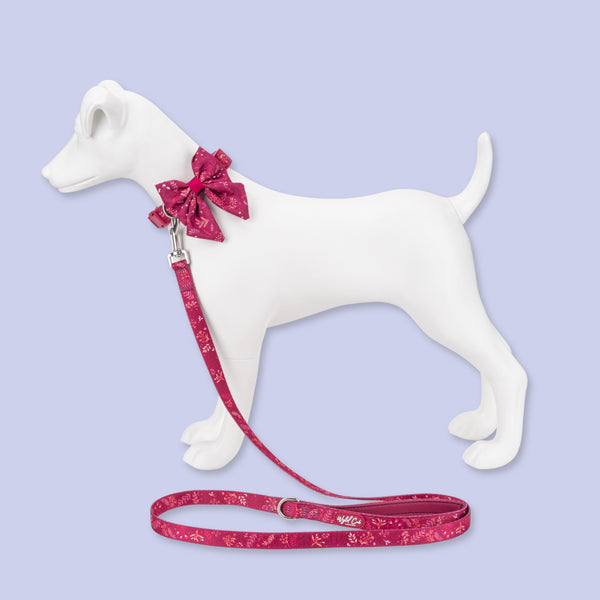 Adjustable Dog Collar: Chiswick Dragonfruit