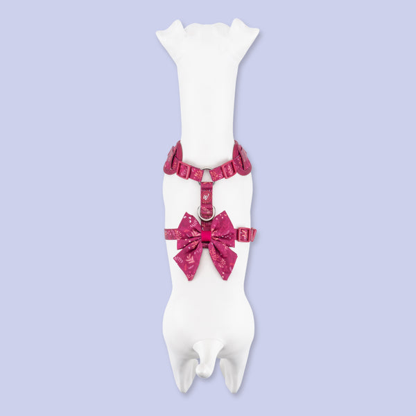 Dog Sailor Bow: Chiswick Dragonfruit