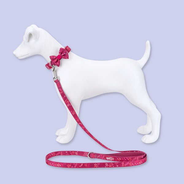 Adjustable Dog Collar: Chiswick Dragonfruit