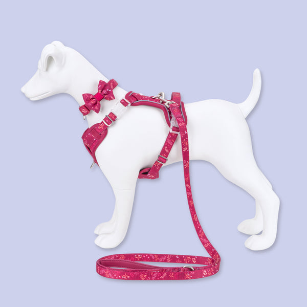Dog Dickie Bow: Chiswick Dragonfruit