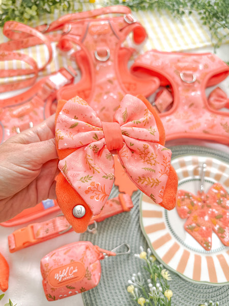 Dog Butterfly Bow: Chiswick Papaya