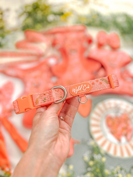 Adjustable Dog Collar: Chiswick Papaya