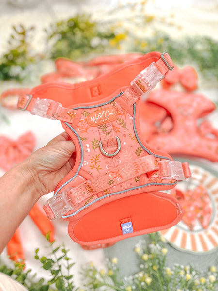 Step & Switch® Dog Harness: Chiswick Papaya